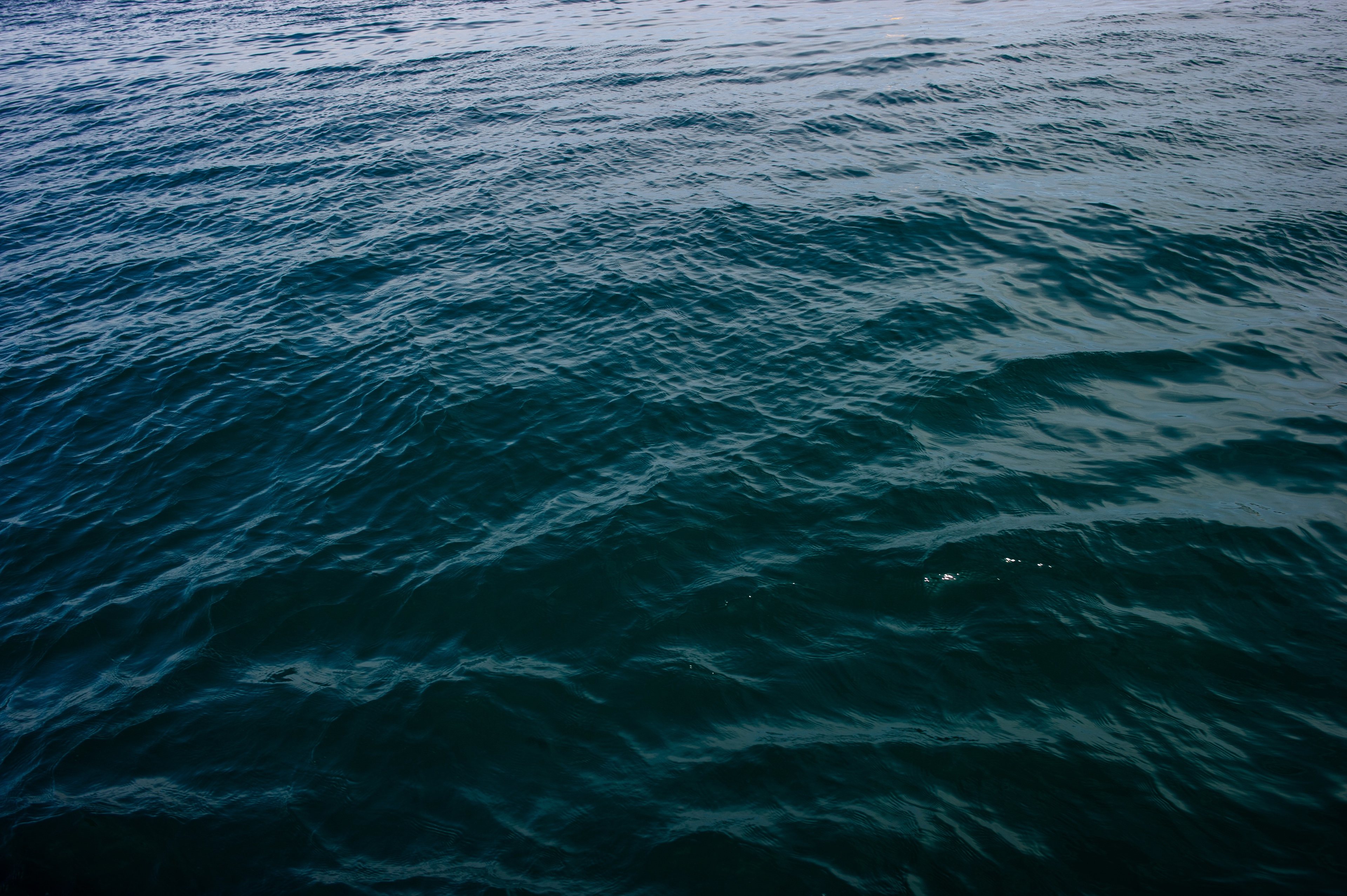 Deep blue open sea, filling the frame