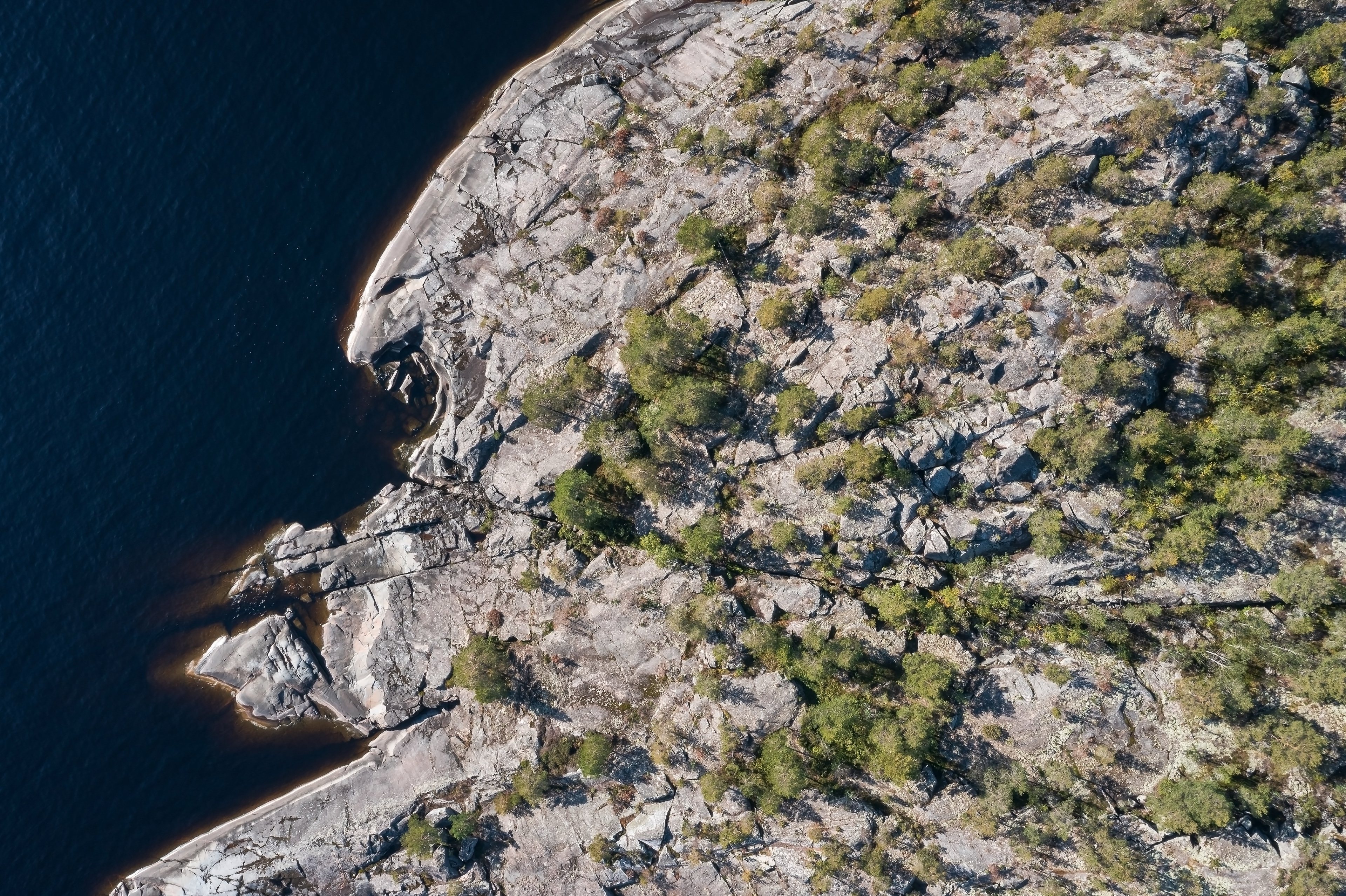 Granite shore and sparse trees by the water, seen from above